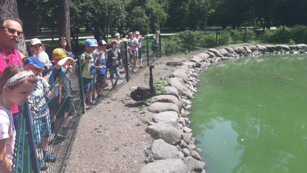 Półkolonie "Z profilaktyką na TY"